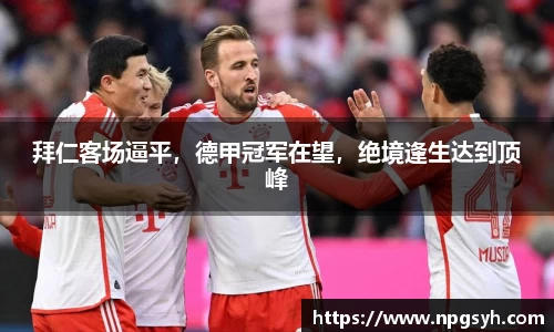 MK体育