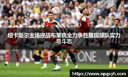 MK体育官网